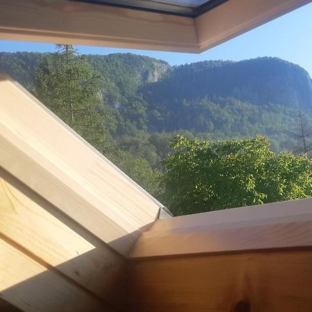 Apartma Nina Bohinj Extérieur photo