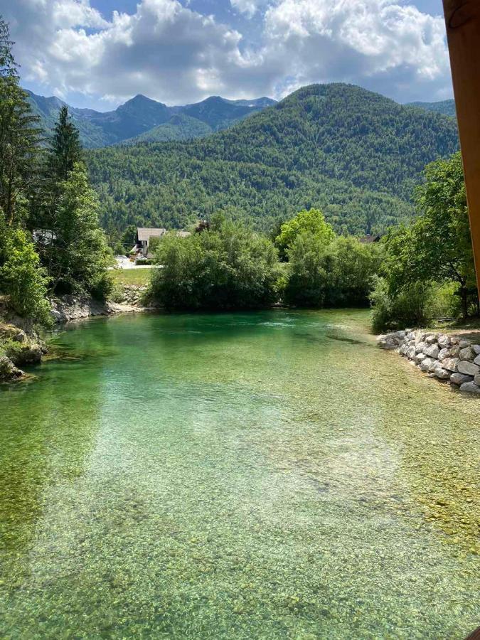 Apartma Nina Bohinj Extérieur photo